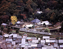 「秋の常高寺を行く」/藤本　倫子　様 