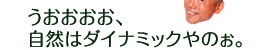 うおおおお、自然はダイナミックやのぉ。