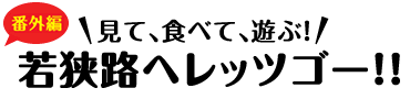 見て、食べて、遊ぶ！若狭路へレッツゴー！！