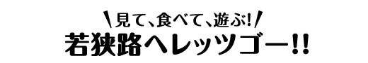 見て、食べて、遊ぶ！若狭路へレッツゴー！！