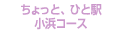 ちょっと、ひと駅　小浜コース